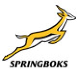 South Africa Springboks